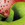 Yukon Bean Burger for Burgerville