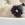Soy delicious treats for Turtle Mountain